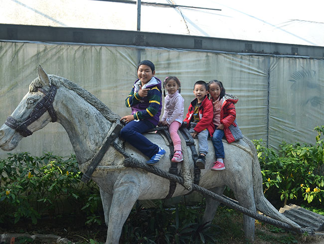 团队扶植--户外亲子兴趣周边游