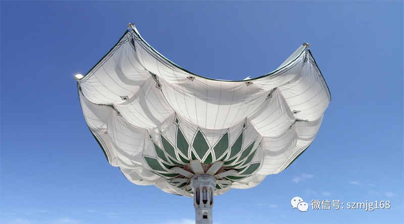 天下上最大的伞