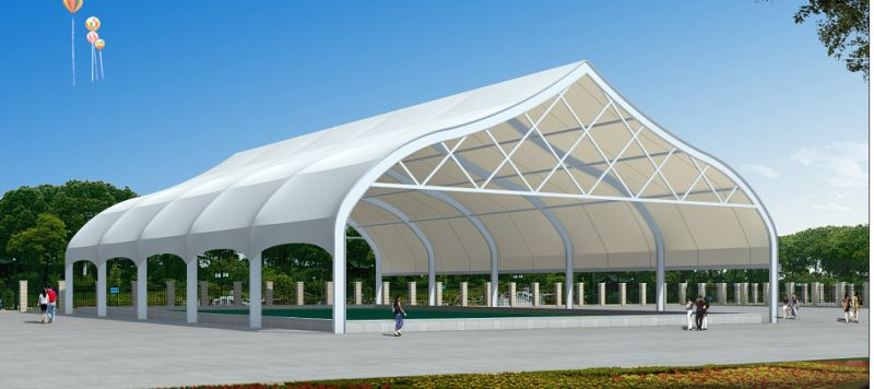 盖顶膜布局修建