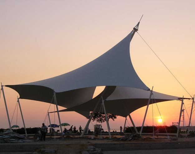 张拉膜计划设想的主要内容