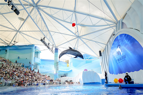 五一出游，膜布局能阐扬哪些感化呢？